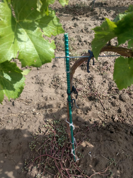 Фиксатор для индивидуальной опоры 6/10